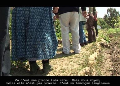 Inventing the Possible - Ephemeral Video Library