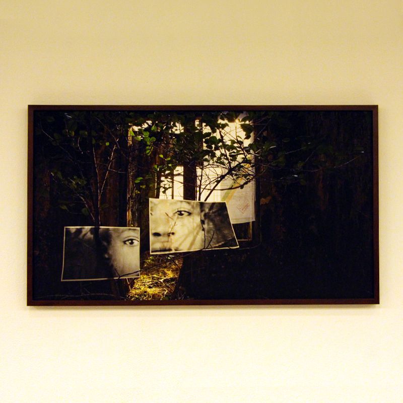 Raiz, Memória e Humanidade