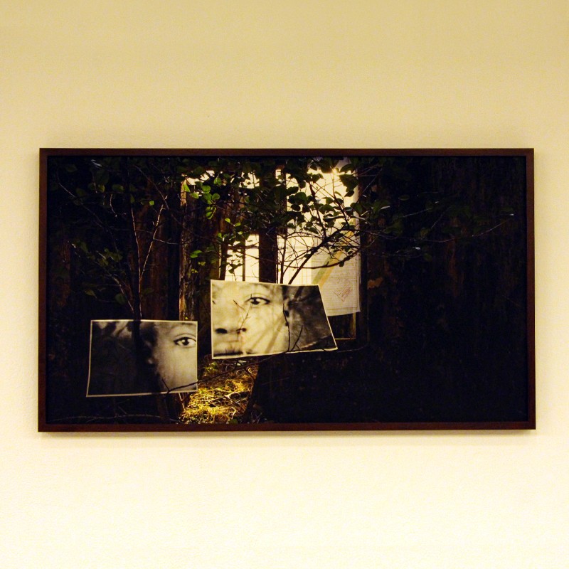 Raiz, Memória e Humanidade