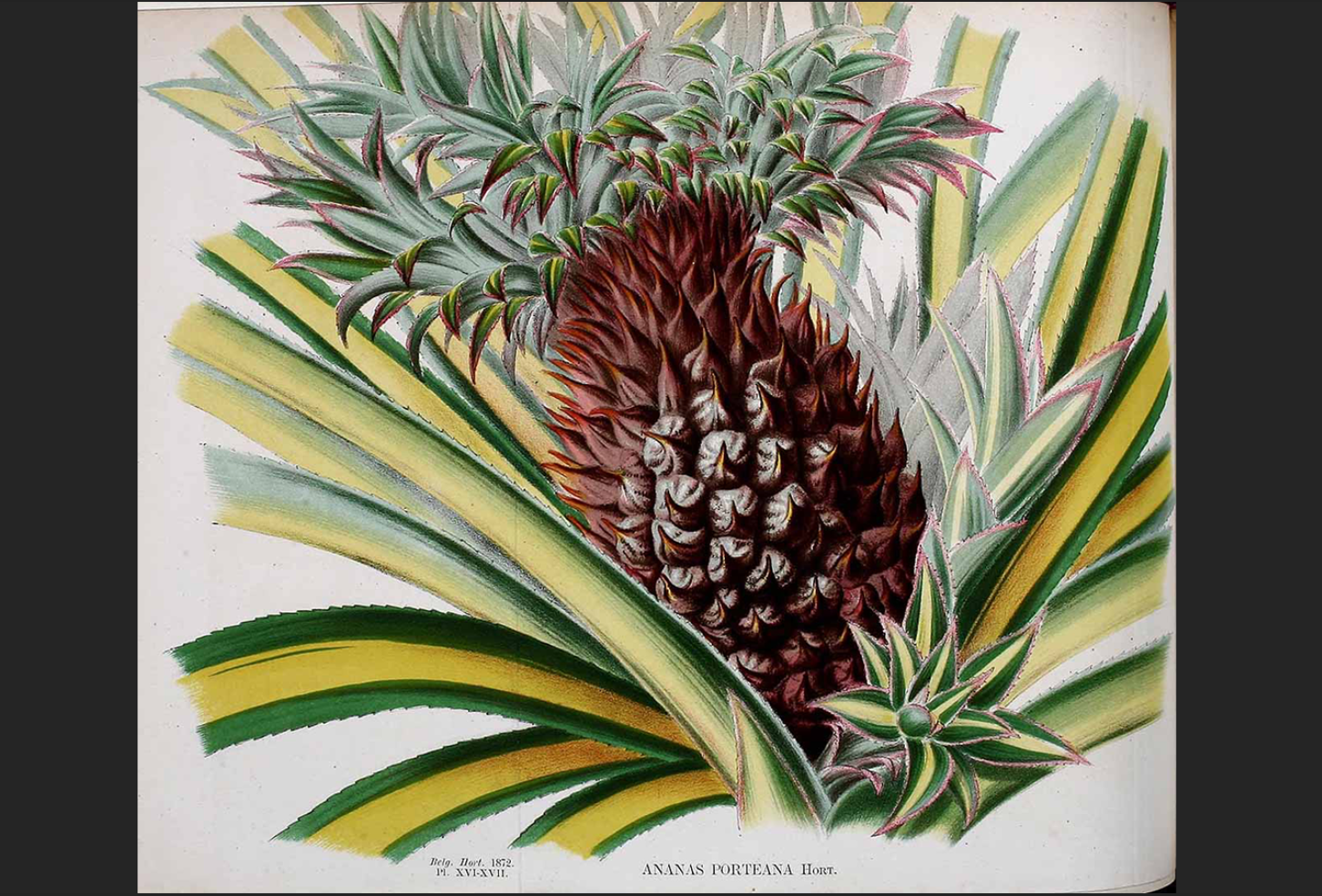 Flora Fantastic: Eco-Critical Contemporary Botanical Art