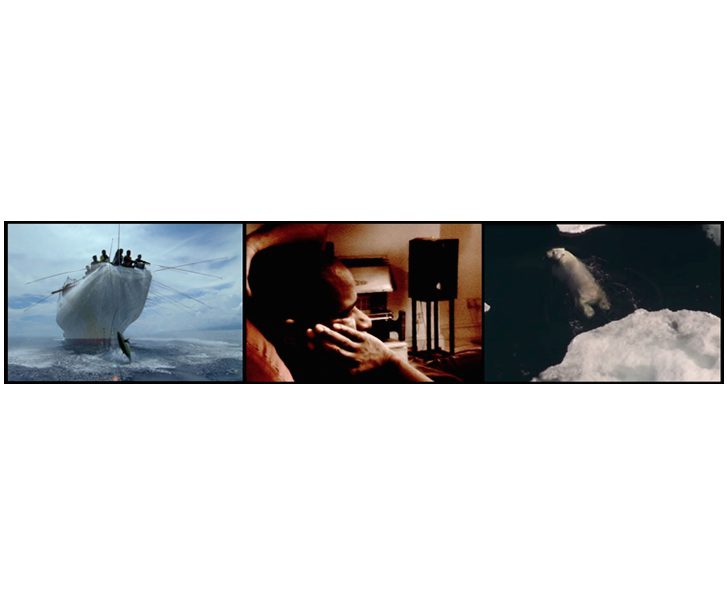 John Akomfrah at the Venice Biennale