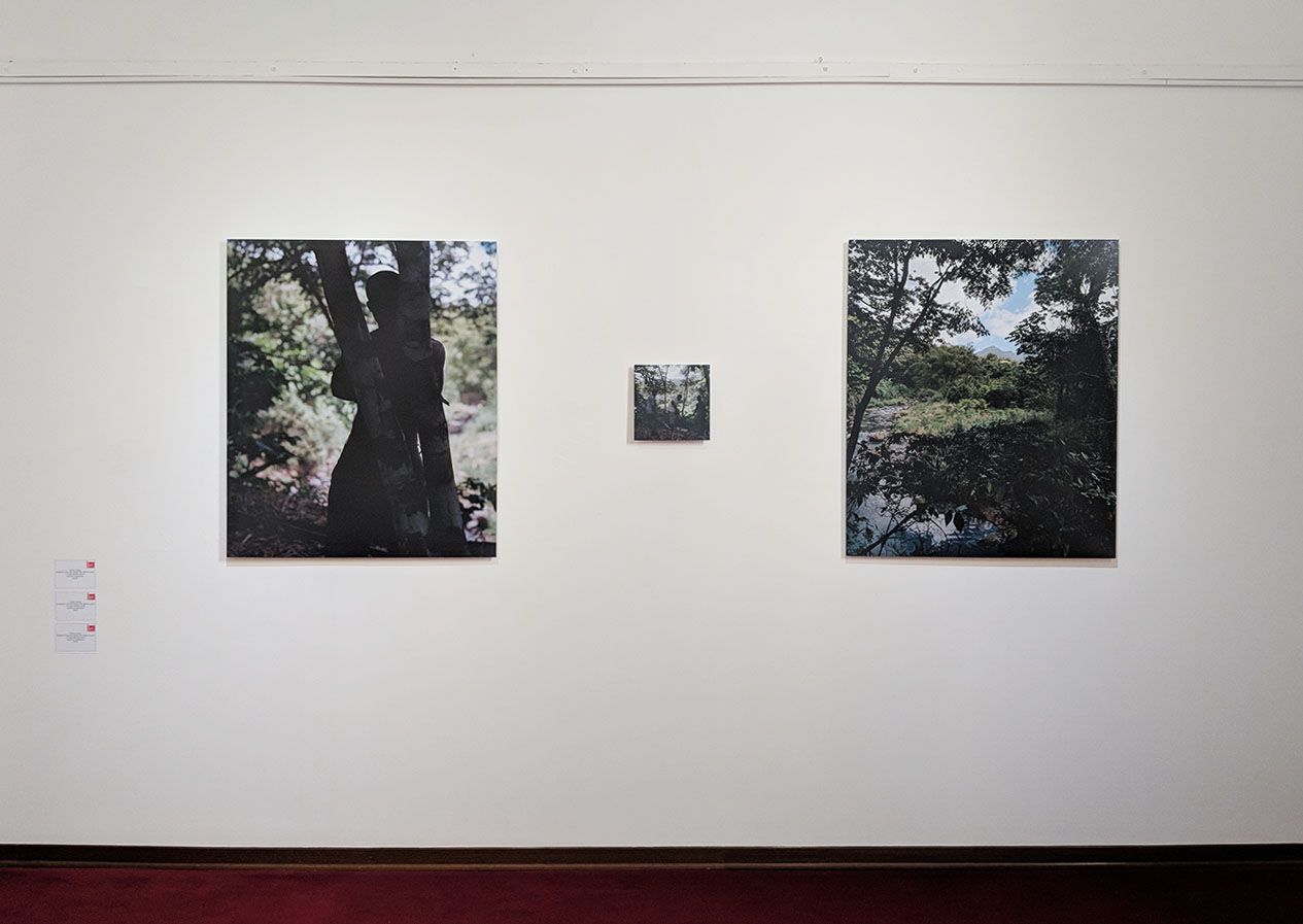 Dave Lewis, Grenada's Venice pavilion.