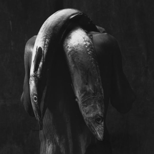 Mario Cravo Neto: Serene Expectation of Light