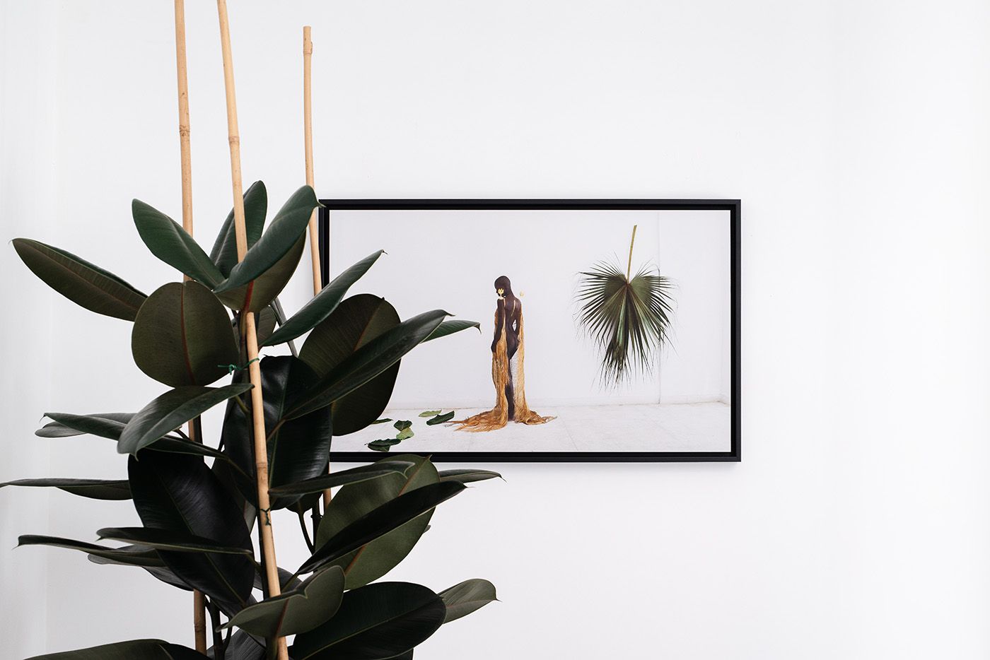 Lisandro Suriel, Las Antillas 3, 50x82 cm, 2018. Photo: Sacha Di Poi.