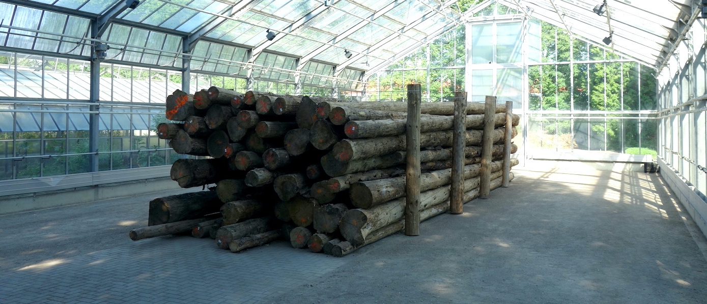 documenta fifteen - Contemporary And