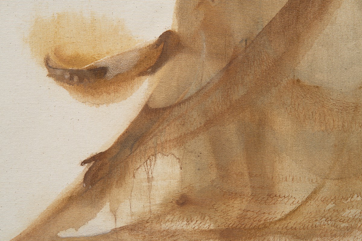 Espelhos d'água viva