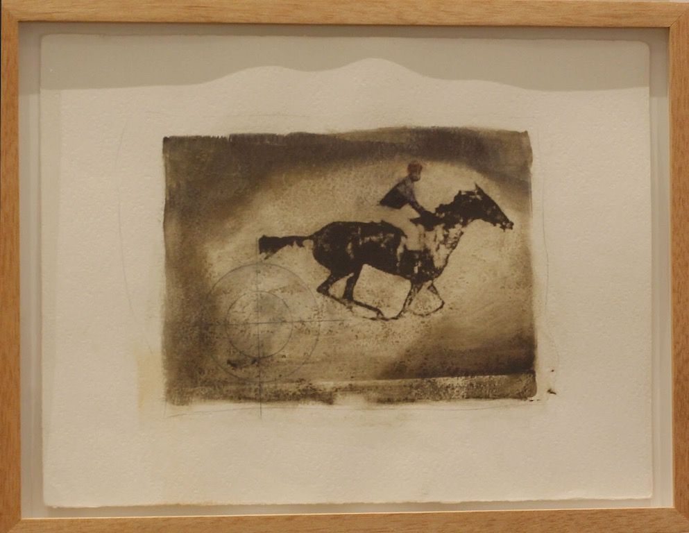 Dead horse Series (2008), Eustáquio Neves. Photo: Luísa Lombardi.