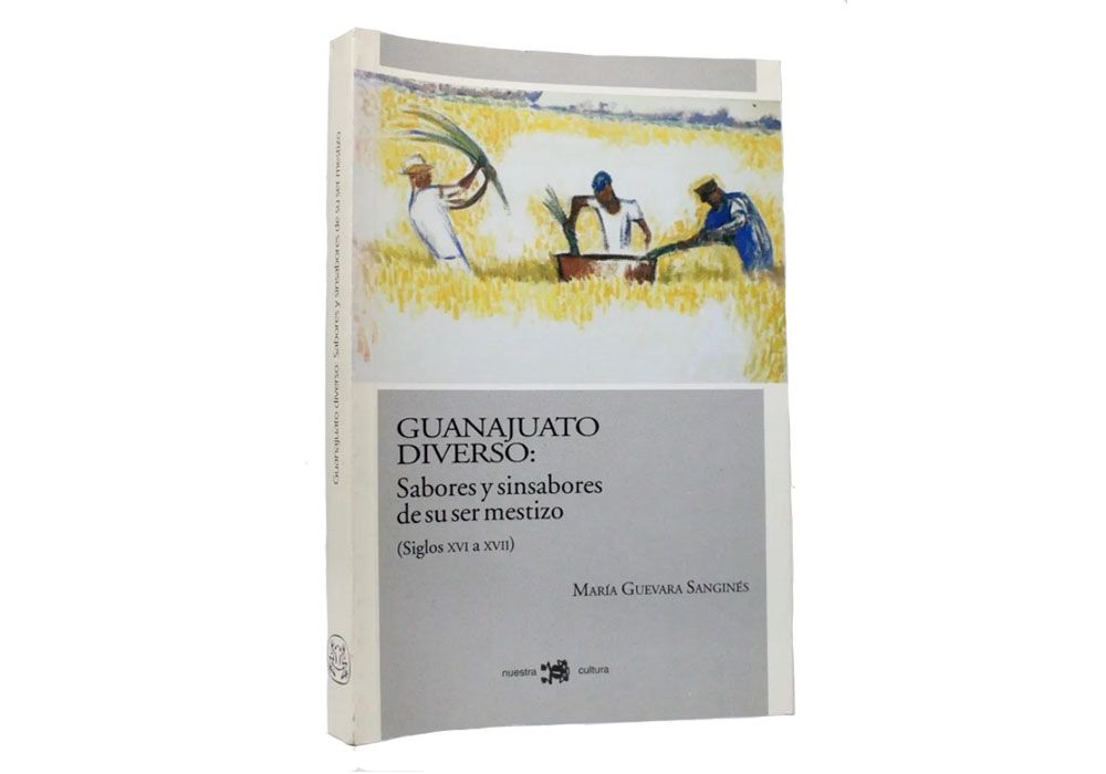 Diverse Guanajuato: The Flavors and Bitterness of Being Mestizo