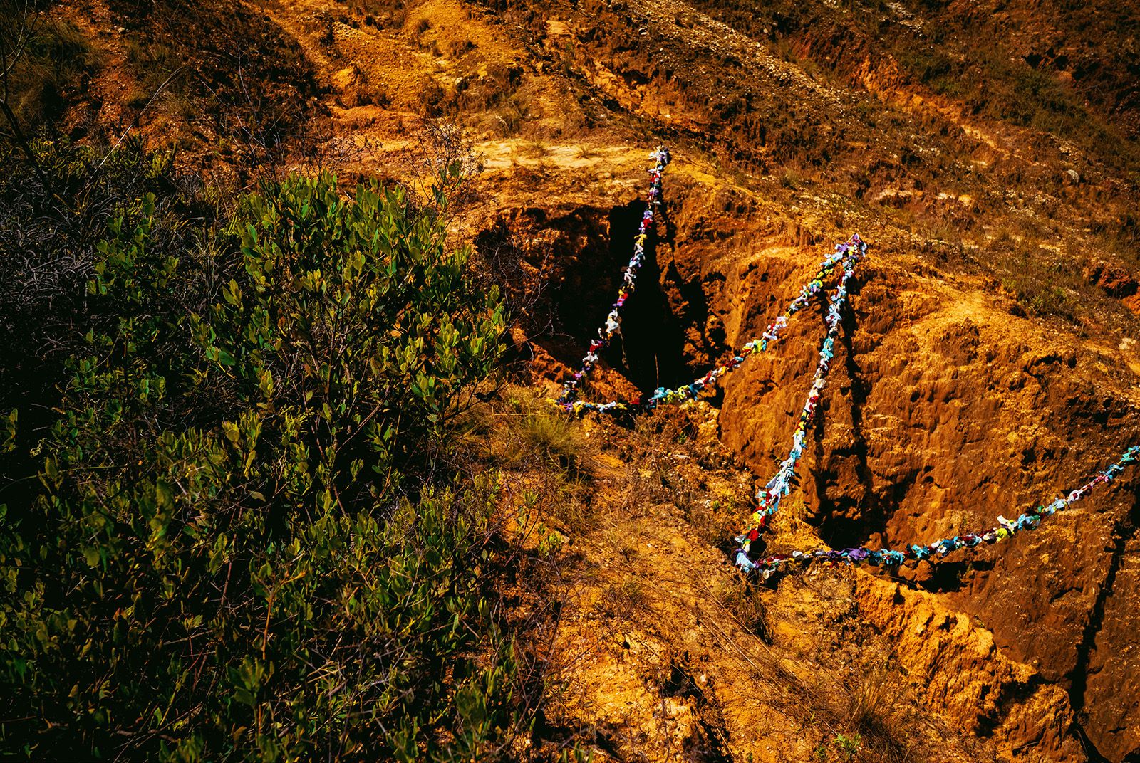 Carnival, Body, and Territory