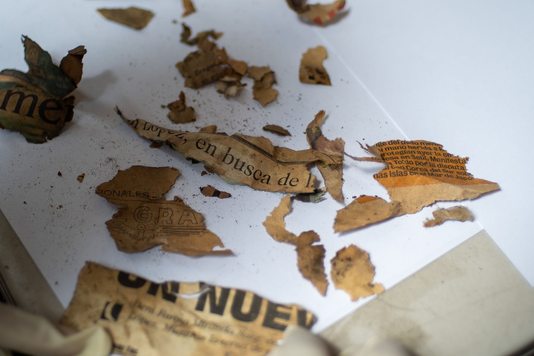 Scattered, deteriorated fragments of old newspaper with visible text on a white surface.