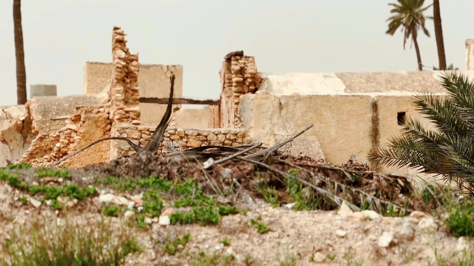 Dilapidated sandy-colored buildings and sparse dry vegetation with palm trees under a light sky.