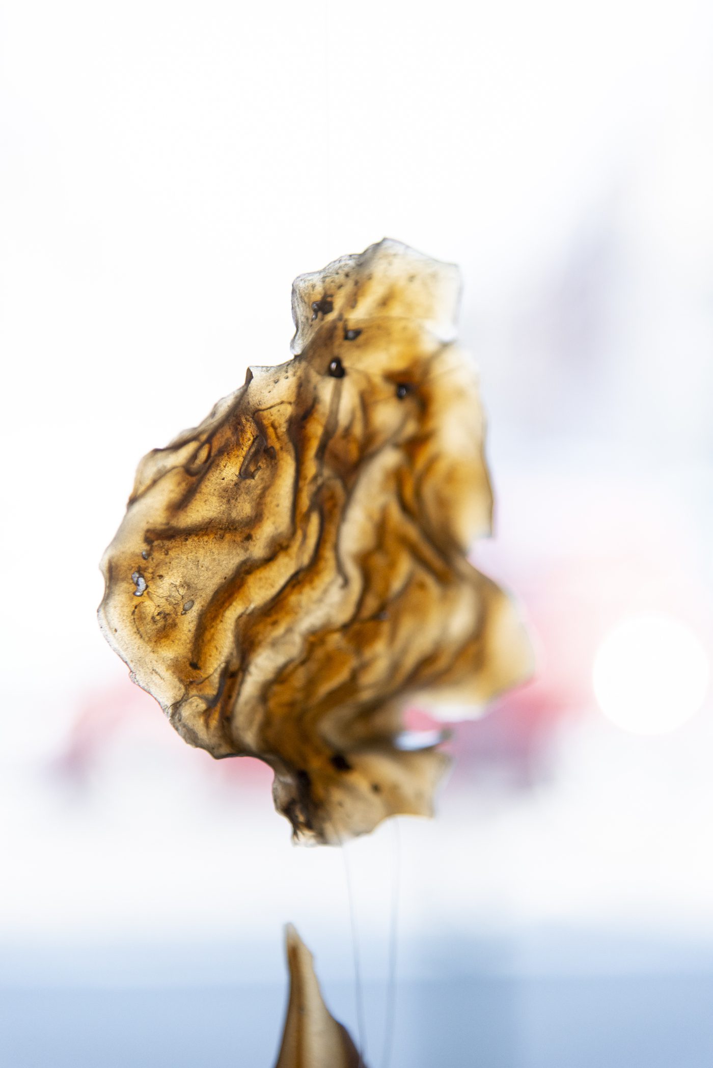 Installation View of „Sensitive Materials“ at La Condition Publique in Roubaix curated by the artist collective EXIT FRAME.