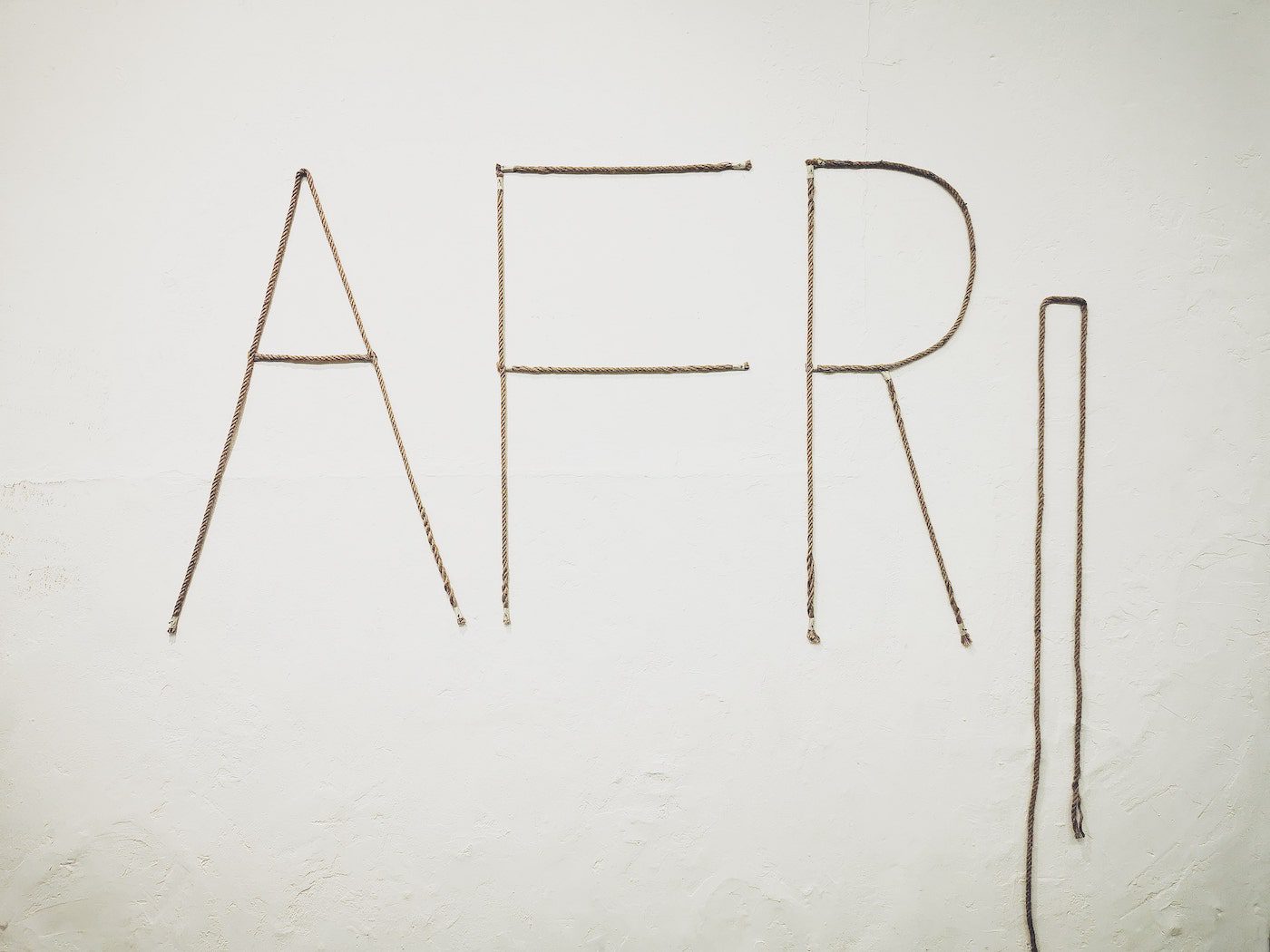 Drawing From the Depth of Materials Within the Soil of Colonial Violence, Binta Diaw Is Literally Growing New Meaning - Contemporary And