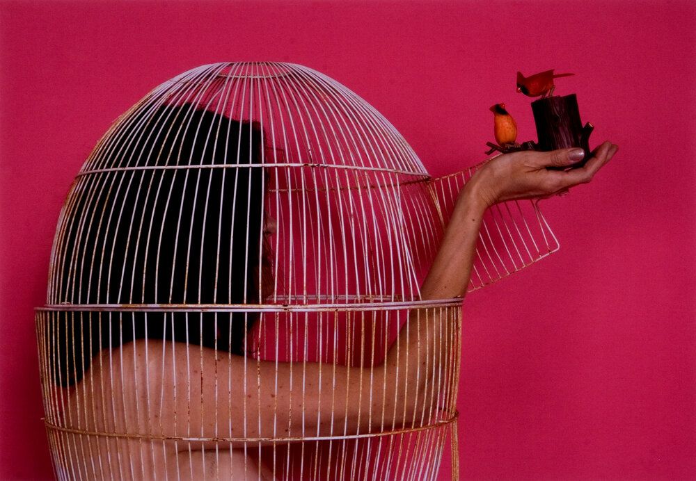 HERland: Women Artists in the MOLAA Collection