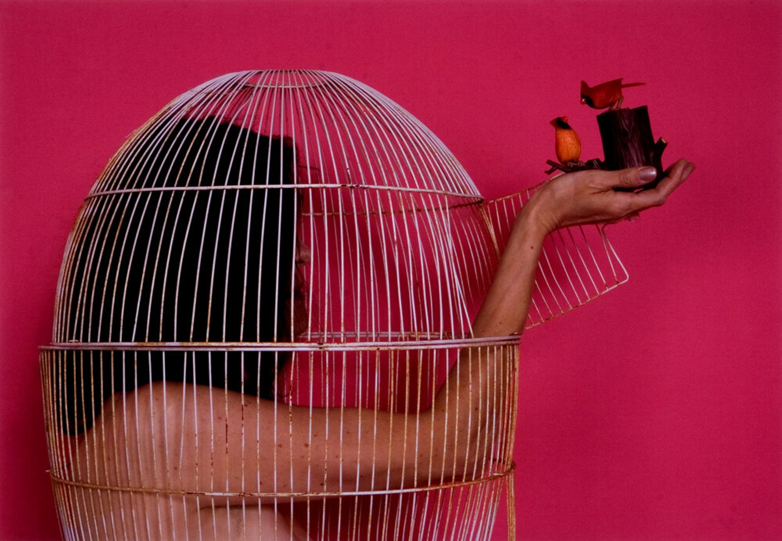 HERland: Women Artists in the MOLAA Collection