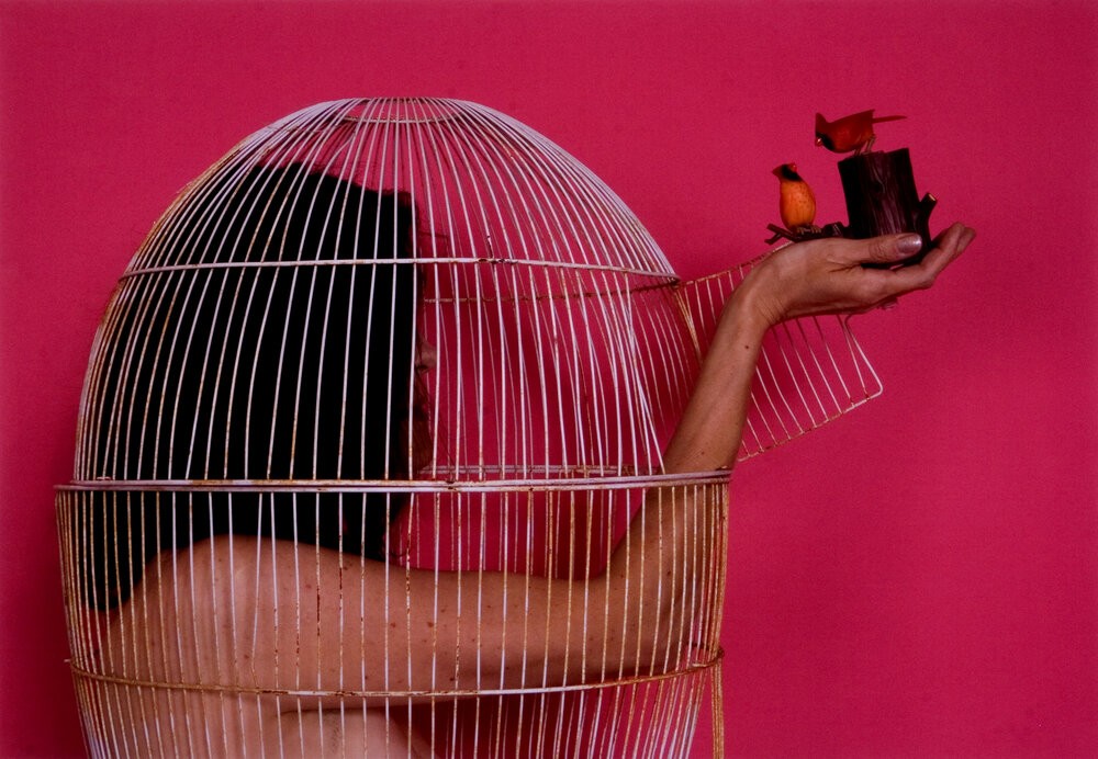 HERland: Women Artists in the MOLAA Collection