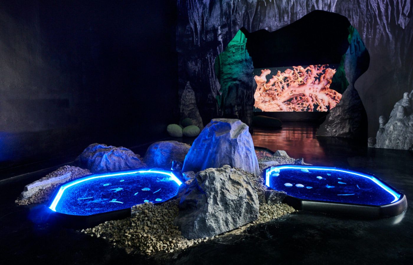 Danielle Brathwaite-Shirley & Josèfa Ntjam