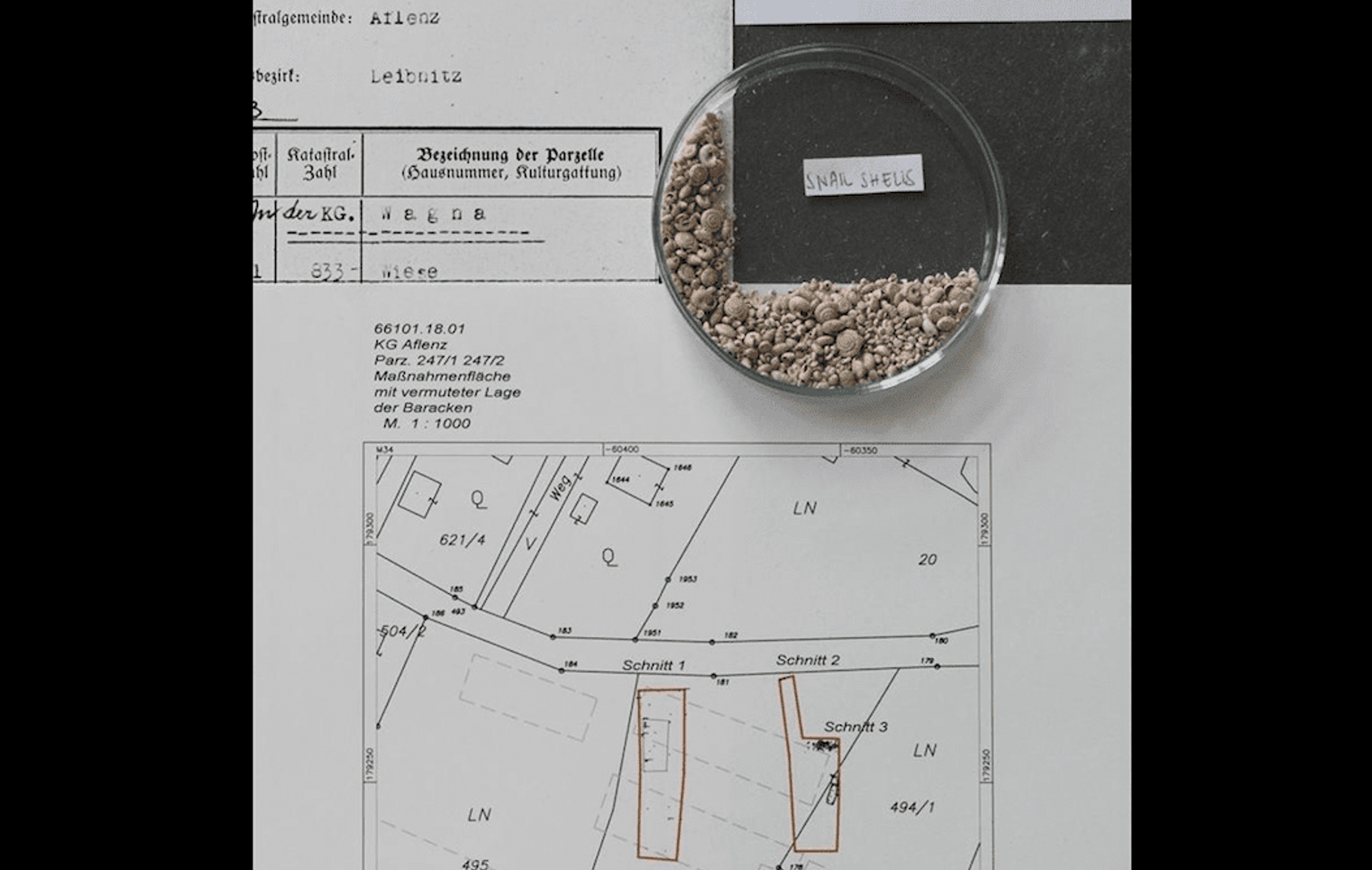 Life of Crops: Towards Investigative Memorialization