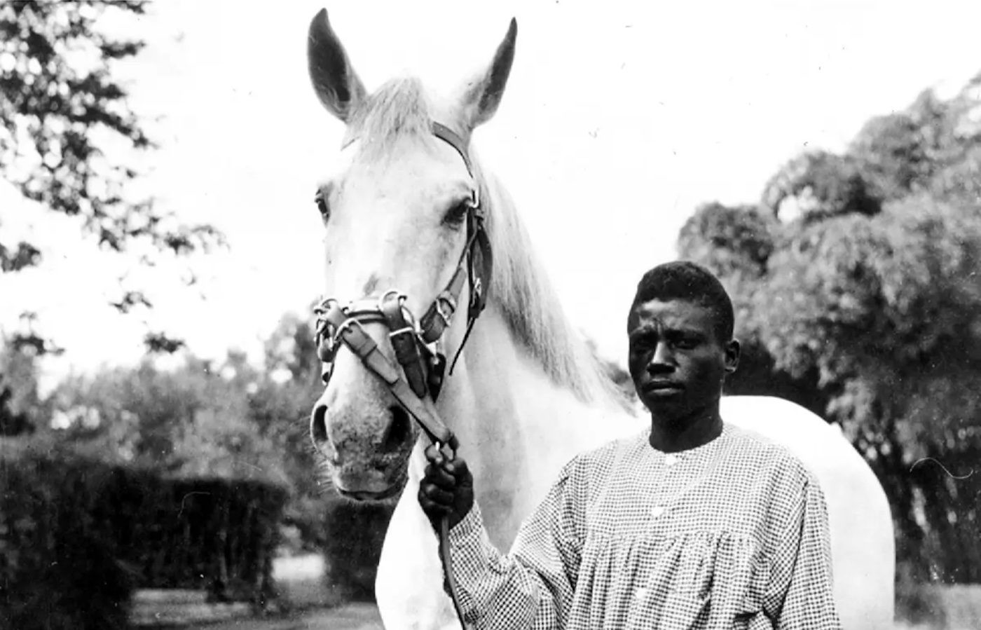 Délio Jasse: Caducado