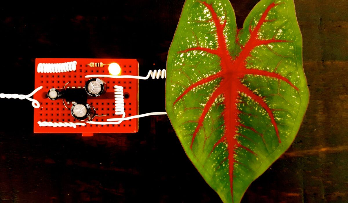 “I Work With Sound the Way Someone Handles Clay”