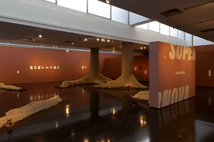 Supernova: Sallisa Rosa