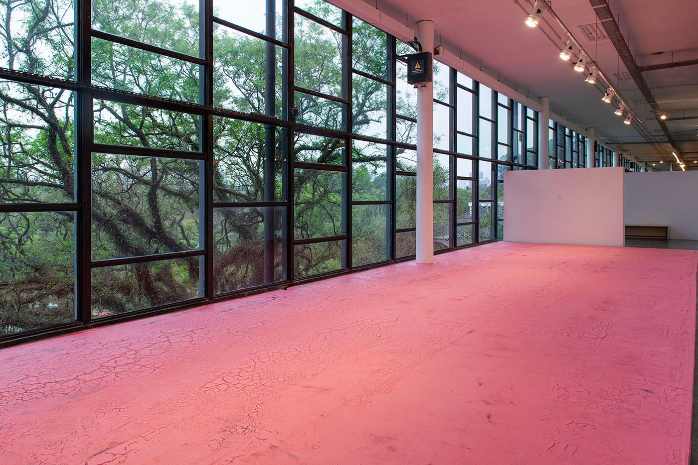 Inhabiting the color, Carlos Bunga, 2023. Photo: Levi Fanan.