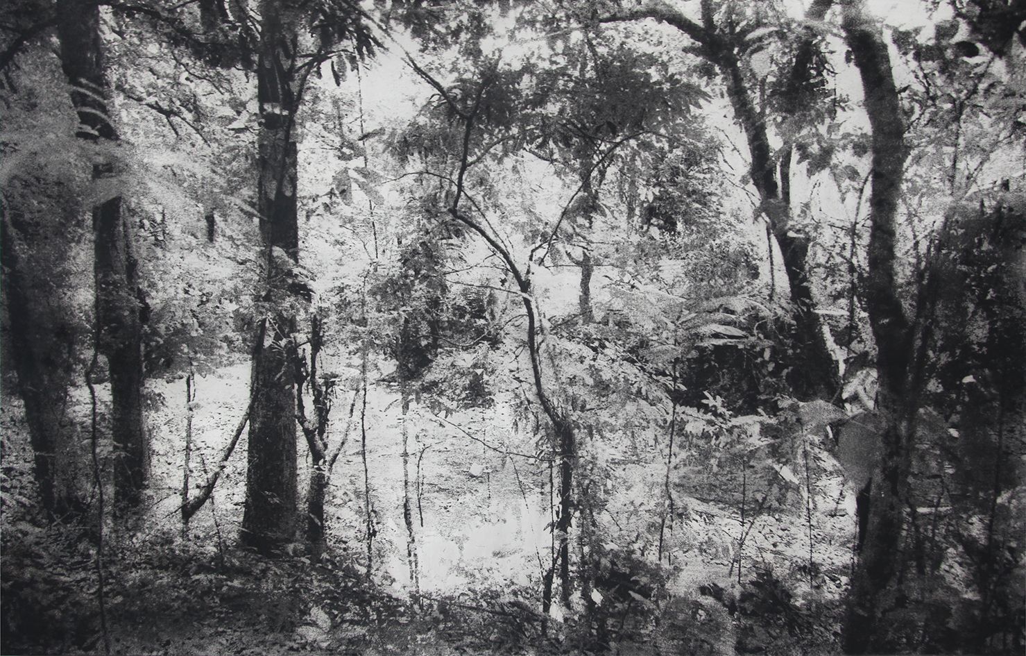 Memento: An Anthological  Exhibition by Tomás  Ochoa