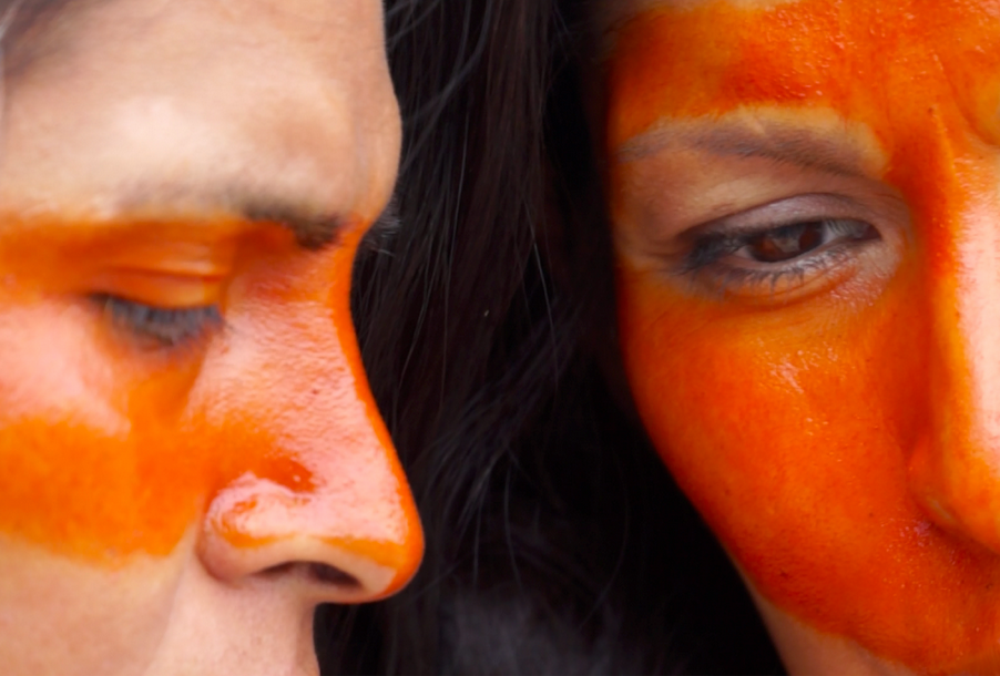 La pisada del Ñandú (o cómo transformamos los silencios)