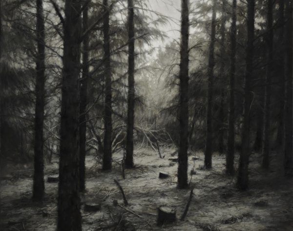 Jaco van Schalkwyk : Eden