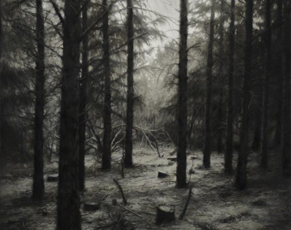 Jaco van Schalkwyk : Eden