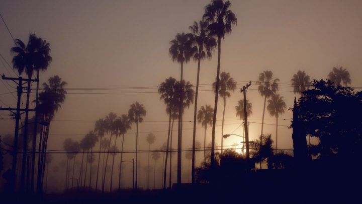 GOD’S P(L)AN - Contemporary And