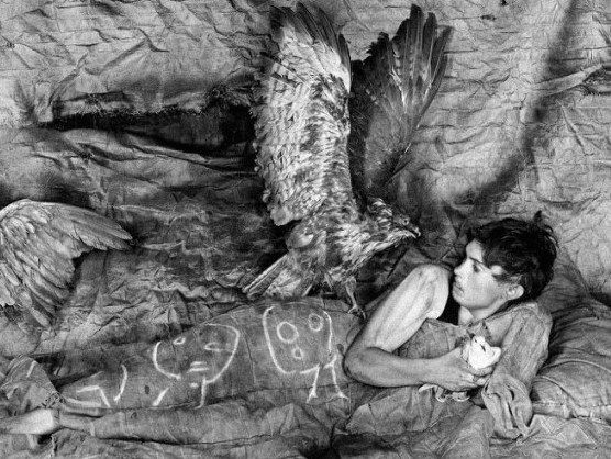 BOOK LAUNCH: ROGER BALLEN’S NEW PUBLICATION ASYLUM OF THE BIRDS
