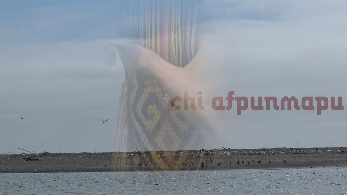 Still from kiñe lafken, ngelay afpun / One Ocean, No Borders / Un océano, sin fronteras. Dir. Catrileo+Carrión Community, video essay, 2021 – Mapudungun, Spanish and English.