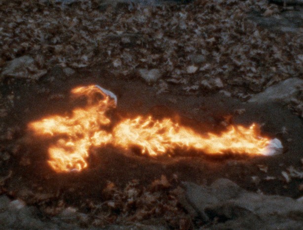 Ana Mendieta: Silhueta em Fogo
