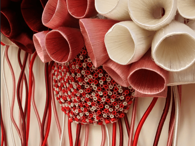 Ghizlane Sahli: Histoires de Tripes – Chapter II