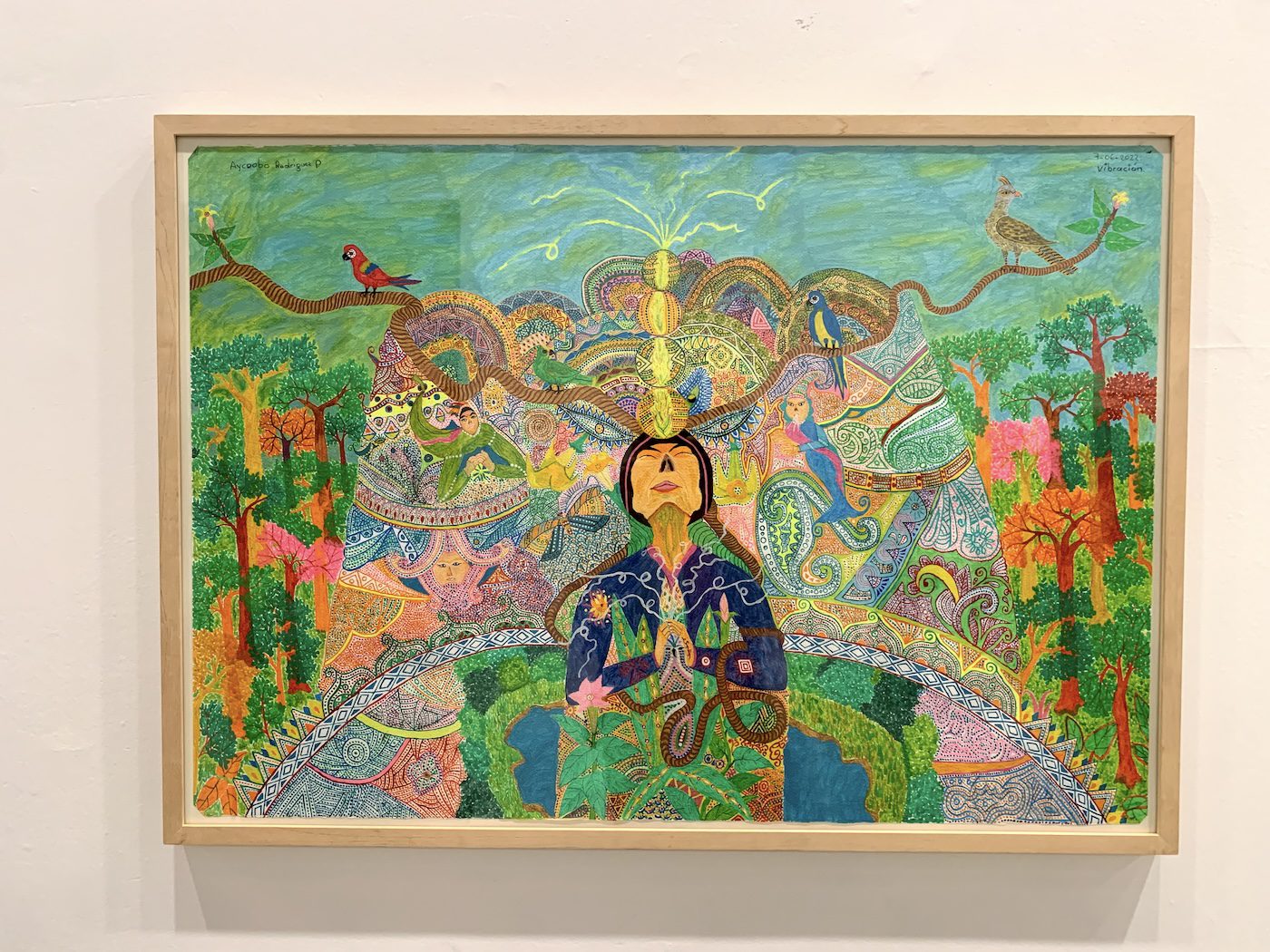 Aycoobo (Wilson Rodríguez). Installation View of 60th Venice Biennale „Foreigners Everywhere“ at Giardini. Photo: C&amp;