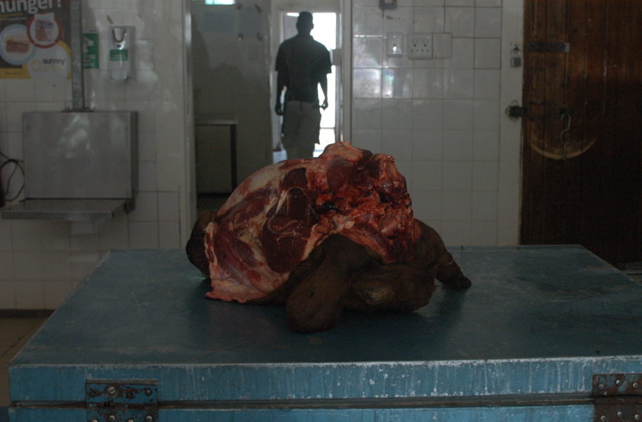 "Man & Nature I” (2018) by Zoé Samudzi. Courtesy the artist.