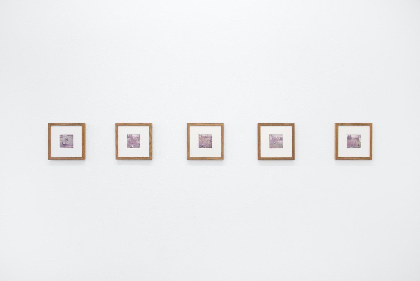 James Gregory Atkinson, Preußisches Liebesglück (Detail), 2021, wall paper, photography, peacock chair, audio piece, installation view ‘6 Friedberg-Chicago’, Dortmunder Kunstverein. Courtesy: the artist, Tyrown Vincent, Dortmunder Kunstverein. Photo: Jens Franke