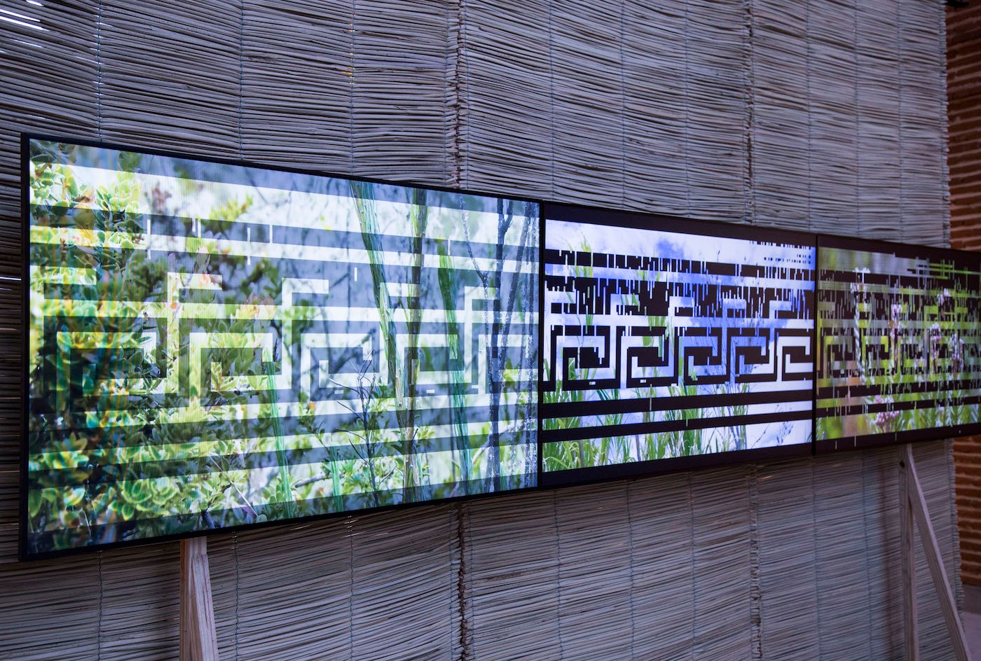 Monika Bravo, Urumu-Weaving Time-Tríptico-Cacao, 2014-2015.