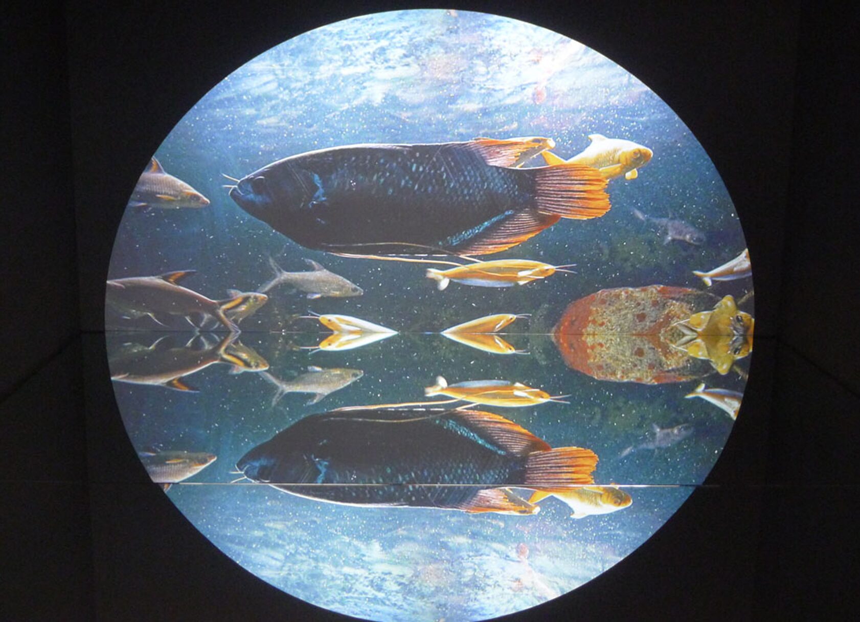 Theo Eshetu: The Slave Ship