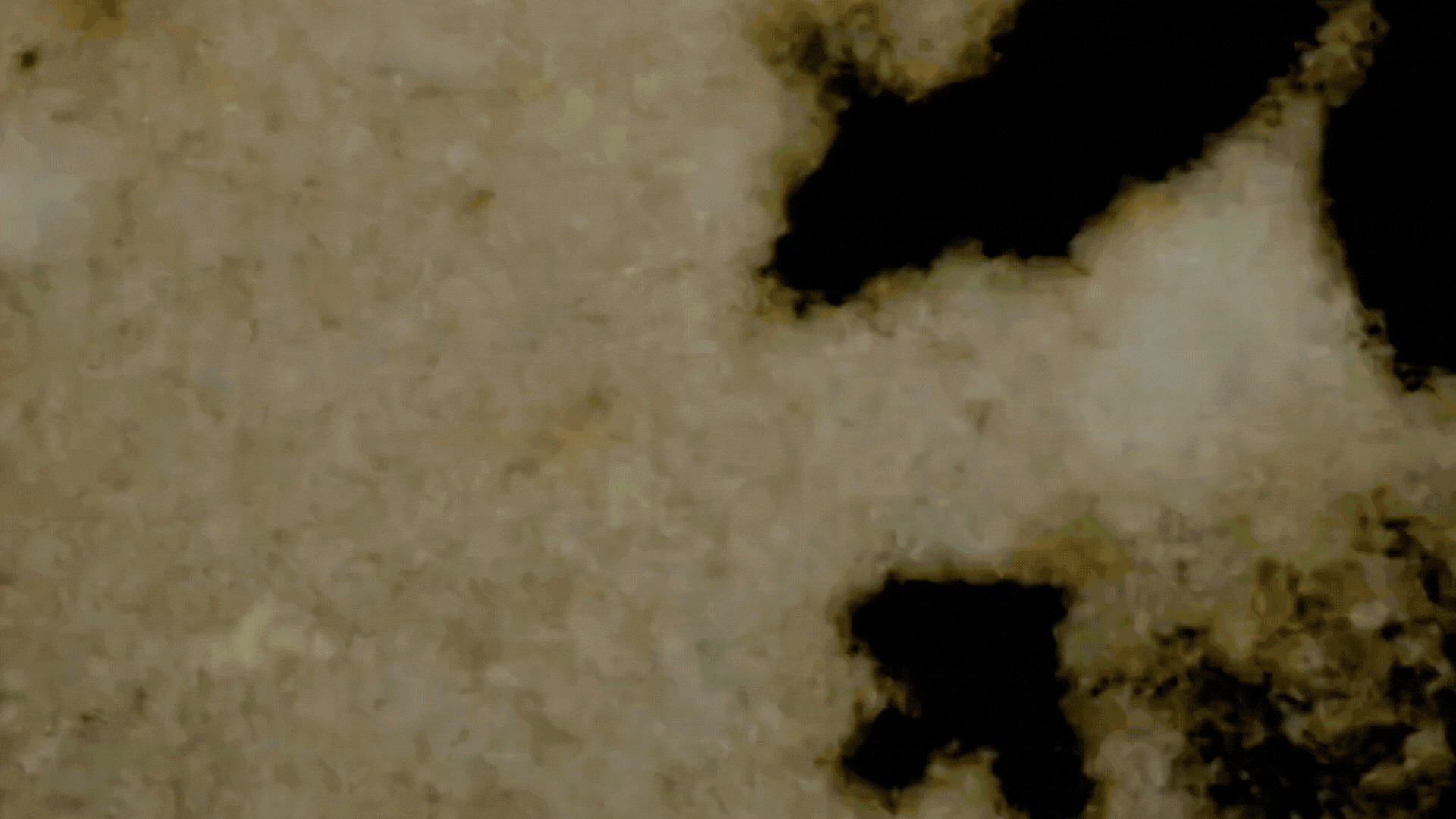 Mottled light brown and dark brown texture with irregular black shapes.