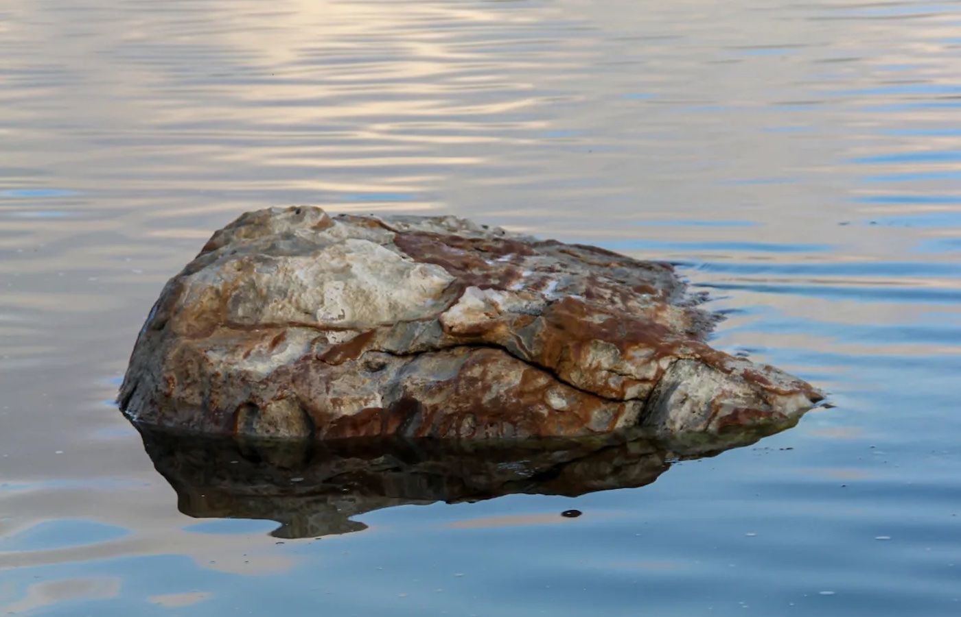 Ange-Frédéric Koffi: Territoire des perceptions, Sérénade des formes