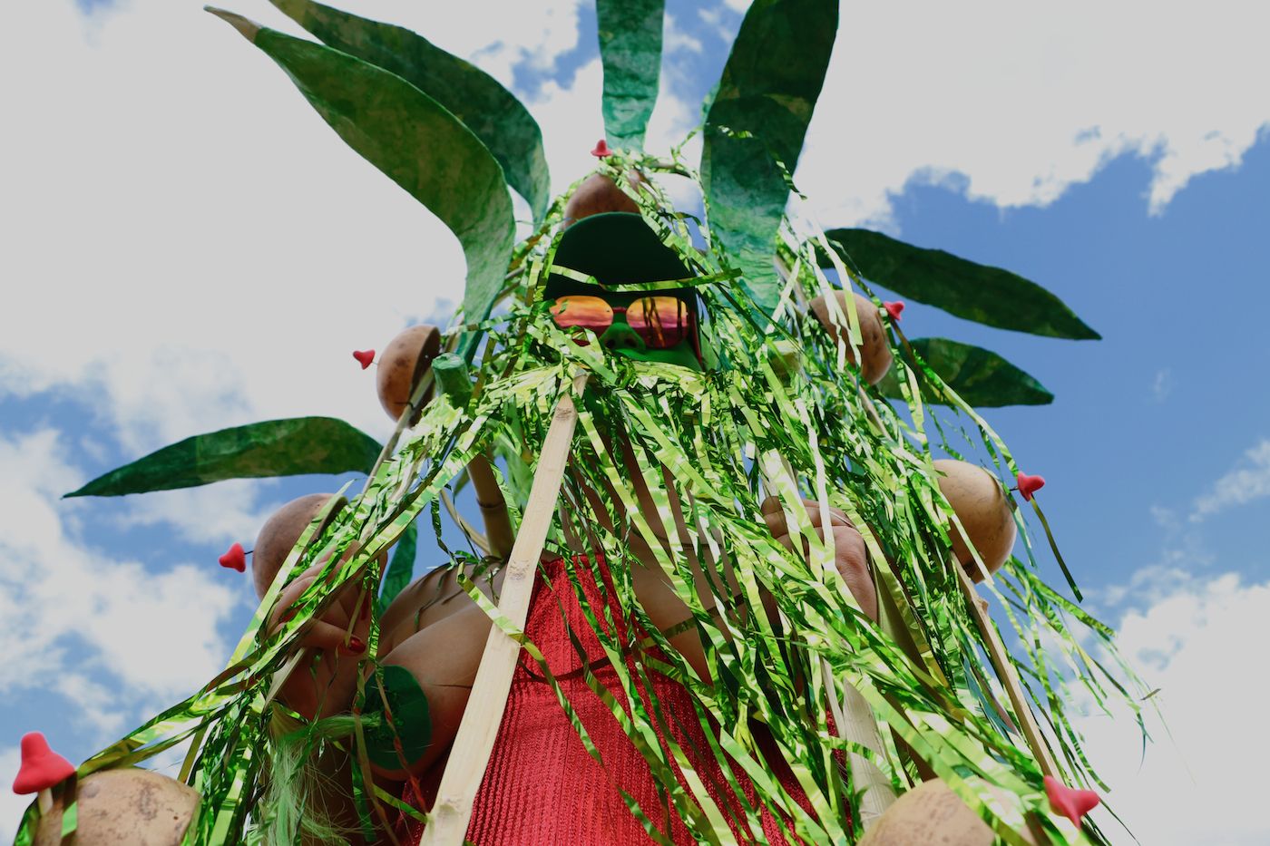 Naomi Rincón Gallardo, Resiliencia Tlacuache (Opossum Resilience), 2019. HD-video. Photo: Claudia López Terroso. Courtesy of the artist.