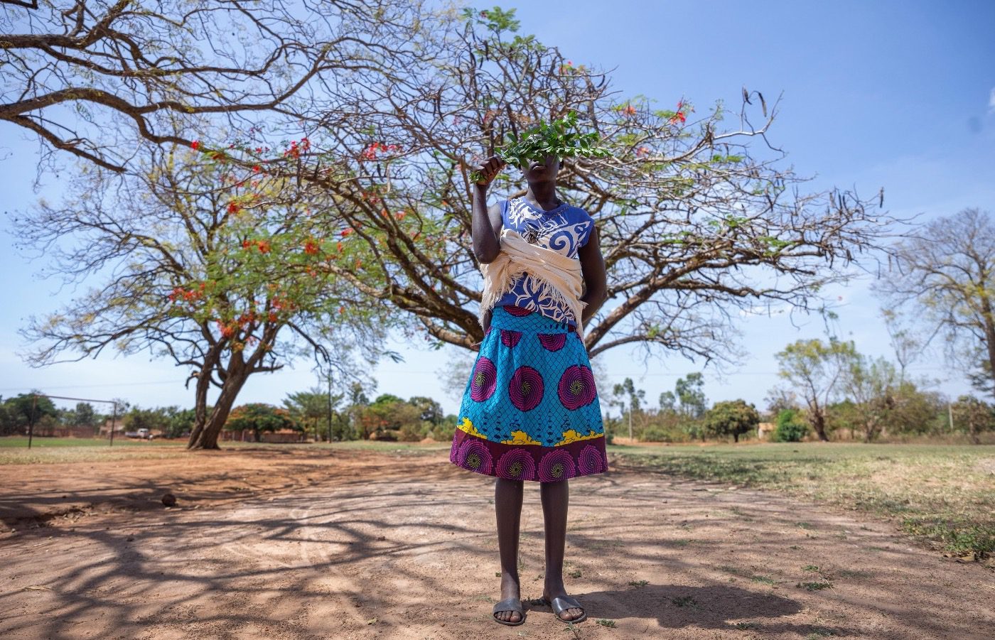 Njabala This Is Not How – Group Show