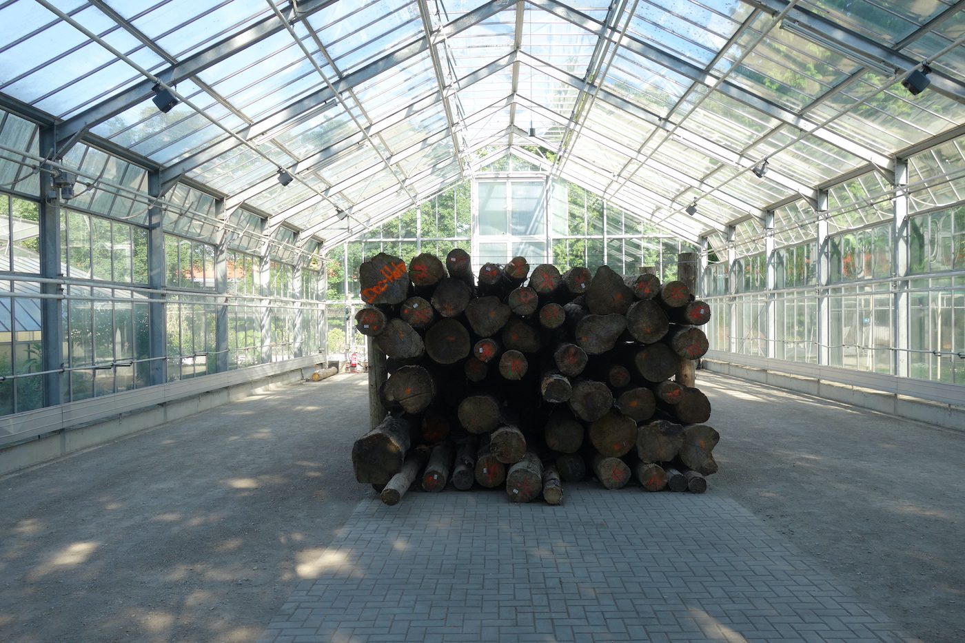 Más Arte Más Acción, Whispers of the Bark Beetles, 2022. Installation view at documenta fifteen, 2022. Photo: C&amp;