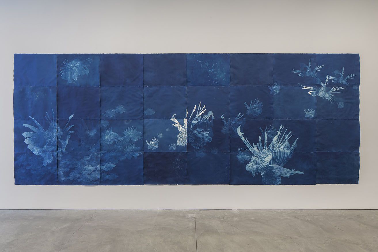 Filthy Water Cannot Be Washed, 2017. Courtesy of the artist.