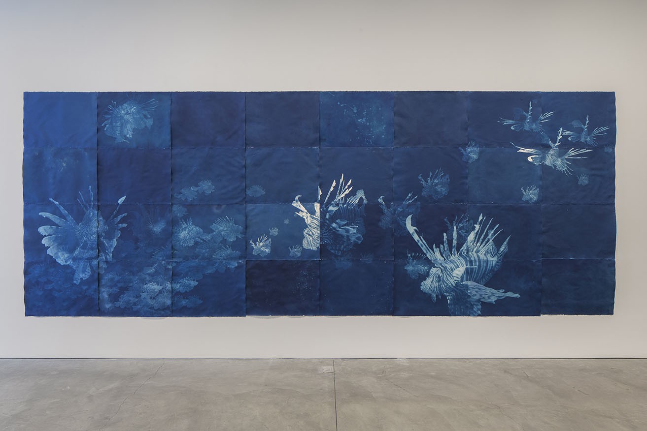 Filthy Water Cannot Be Washed, 2017. Courtesy of the artist.