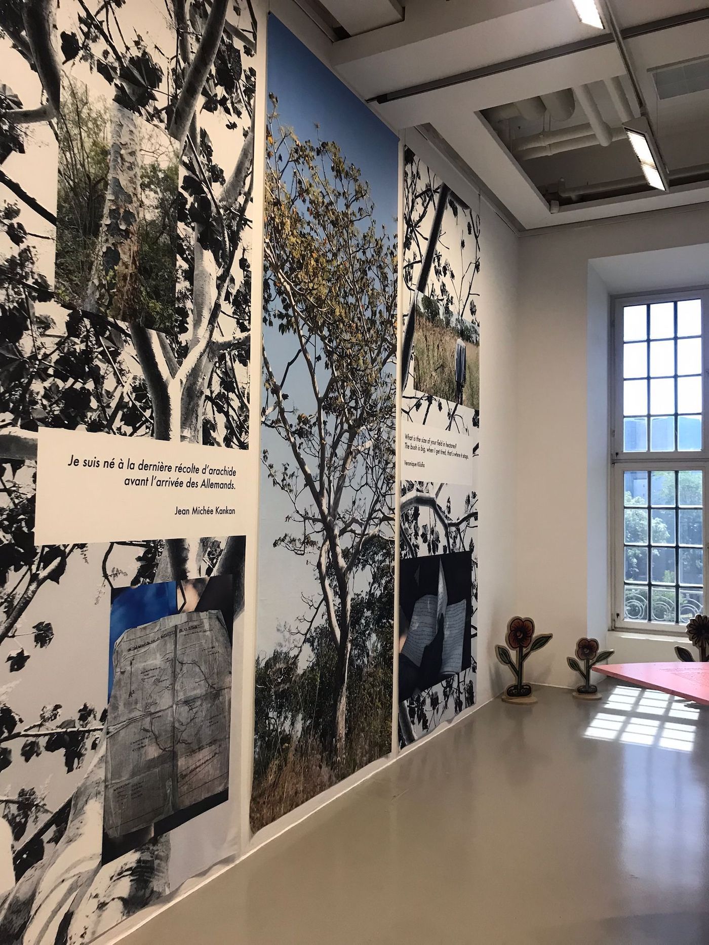 Centre d’art Waza. Installation view at documenta fifteen, Kassel. Photo: C&