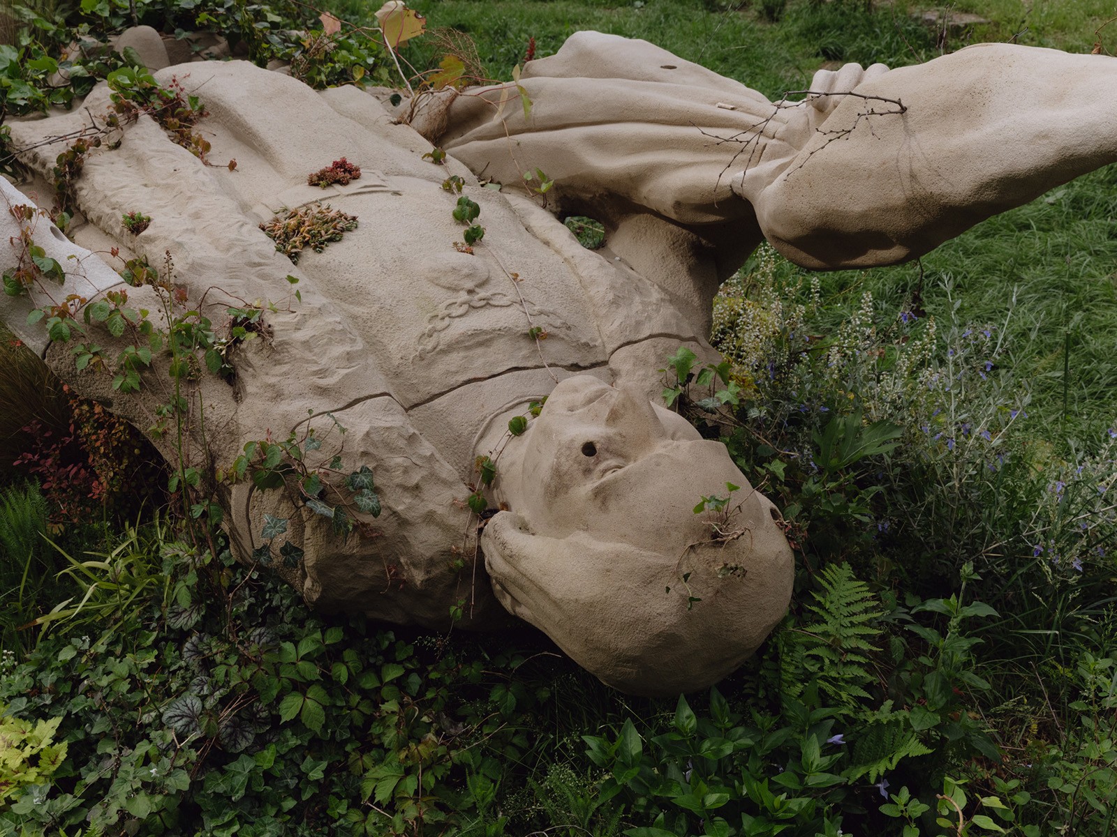 Amanda Carneiro: Curation That Operates Outside Dominant Systems