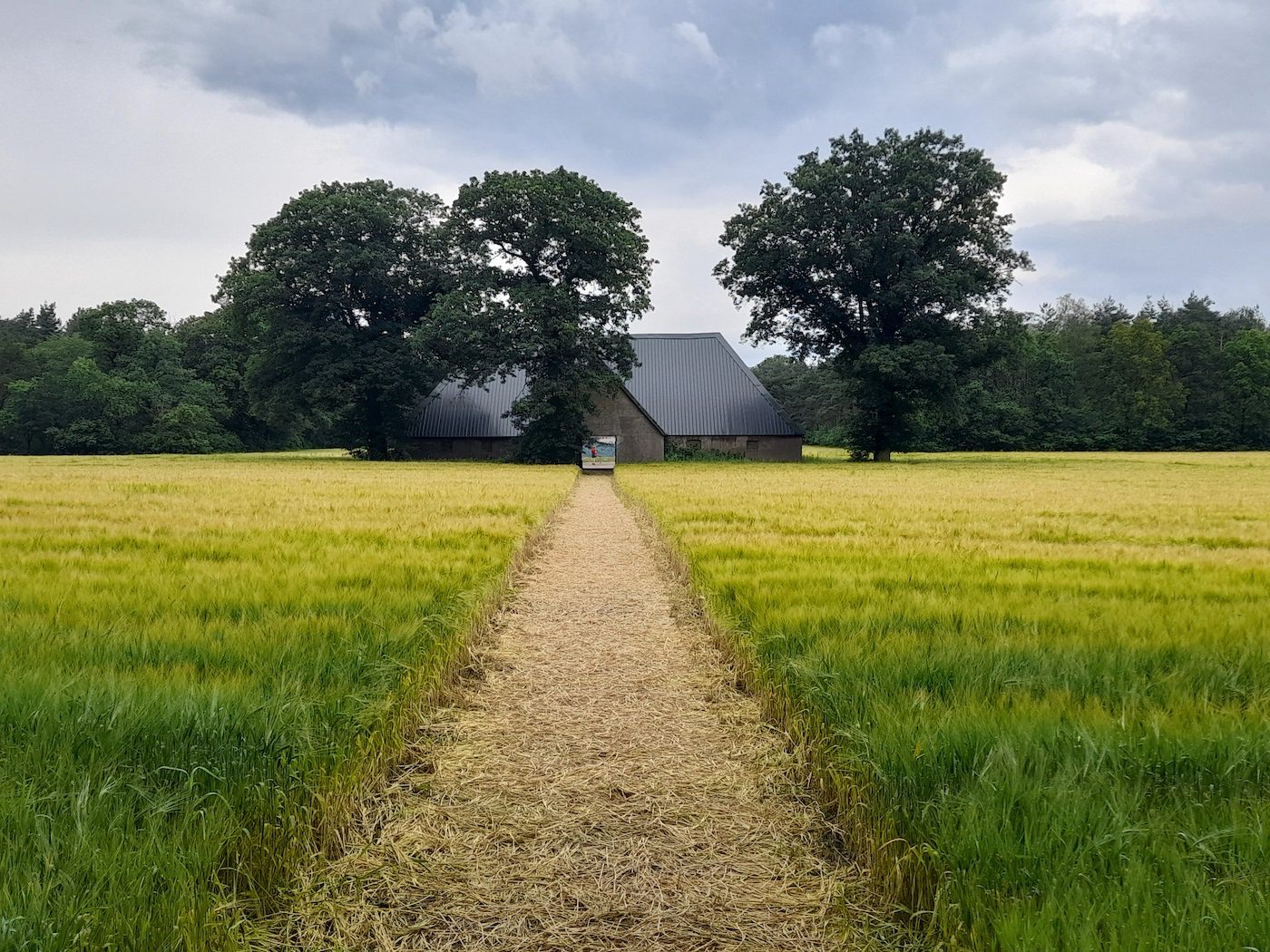 sonsbeek20→24: force times distance - Contemporary And